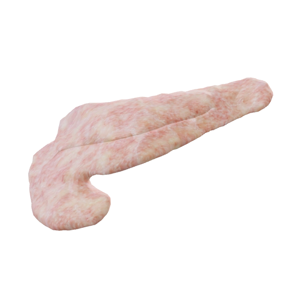 Pancreas: source anatomy and tissue appearance