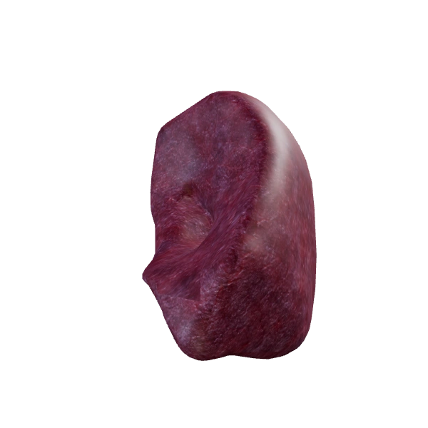 Spleen: source anatomy and tissue appearance